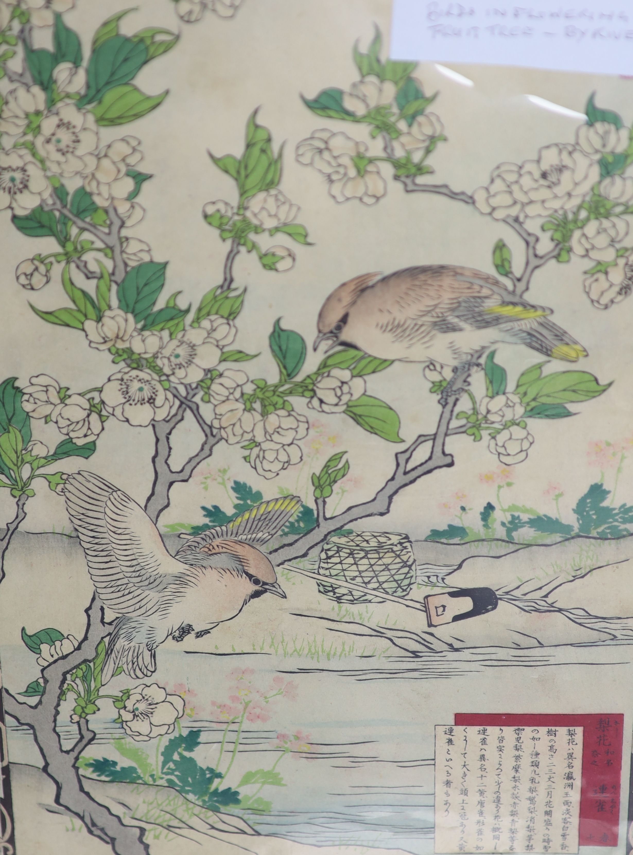 An album of 19th / 20th century Japanese woodblock prints to include works by Kunisada (diptych), Hiroshige, Shoen, Harunobu, Suzuki, Kunimasa IV, Hokki, Kunichika, Kunika, etc.